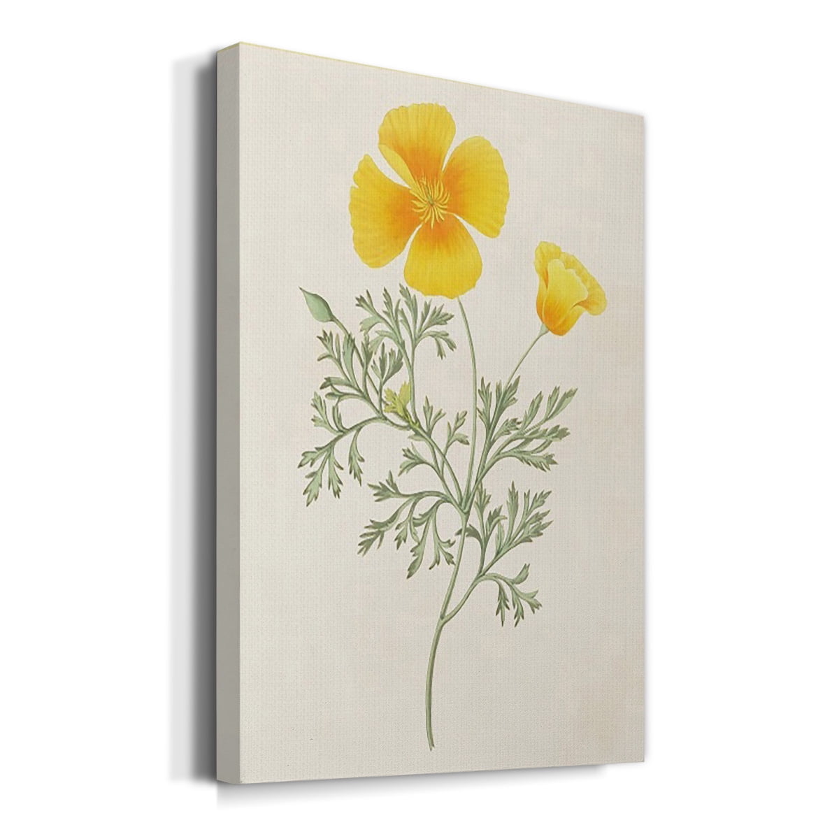 Flowers of the Seasons IX Premium Gallery Wrapped Canvas - Ready to Hang