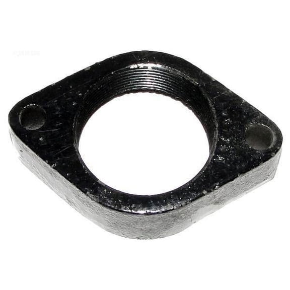 Jandy Zodiac 10573500  Hi-E2 2" Flange