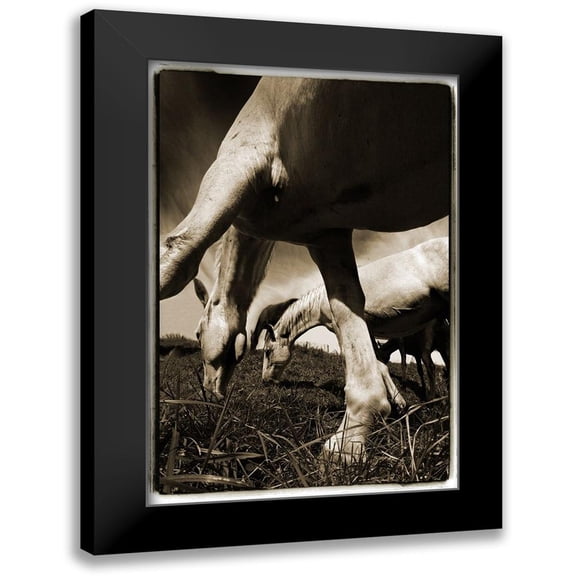 Malovrh, Milan 11x14 Black Modern Framed Museum Art Print Titled - Promenade 2