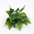 thumbnail image 4 of 5 piezas de tallos de hojas de eucalipto falsas a granel planta de hojas de eucalipto de dólar de plata artificial en verde gris alto vegetación de boda vegetación artificial, 4 of 4