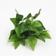 thumbnail image 2 of 5 piezas de tallos de hojas de eucalipto falsos Planta de hojas de eucalipto de dólar de plata artificial a granel en verde gris Verde de boda alto Vegetación artificial, 2 of 4