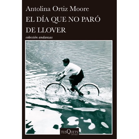 El DÃ­a Que No ParÃ³ de Llover / The Day It Never Stopped Raining, (Paperback)