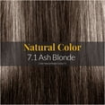 thumbnail image 3 of Hair Solution Gold 90 grams / 3.17 oz Hair Dye Ash Blonde 7.1 Color - Hair Dye Permanent + Peroxide Cream Vol 30 + Hair Care Gloves, 3 of 8