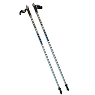 Leki prestige sales titanium nordic walking