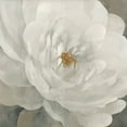 thumbnail image 2 of Sasha 12x12 Gold Ornate Wood Framed with Double Matting Museum Art Print Titled - Cream Peony II, 2 of 4
