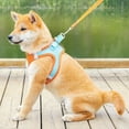 thumbnail image 3 of WBQ Small Harness for Puppy with A Leash - Summer Dog Vest Harness with Super Breathable Mesh, Reflective No-Pull Pet Harness for Outdoor Walking, Running for Small Dogs, Cats, 3 of 6