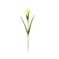 thumbnail image 6 of MLINS Lifelike Artificial Iris Flower in Yellow Color for Wedding Decoration Home Use Made of Ecofriendly PU Material 1Pc, 6 of 8