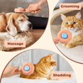 thumbnail image 2 of GHSDFBB Cat Brush Sold Out, Beware of Faker, 2 of 7