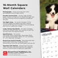 thumbnail image 5 of Border Collie Puppies | 2024 12x24" (Hanging) Wall Calendar | BrownTrout, 5 of 8