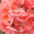 thumbnail image 5 of Mrs. Meyer’s Clean Day Hand Soap, Geranium Scent, 12.5 Fl Oz, 5 of 9