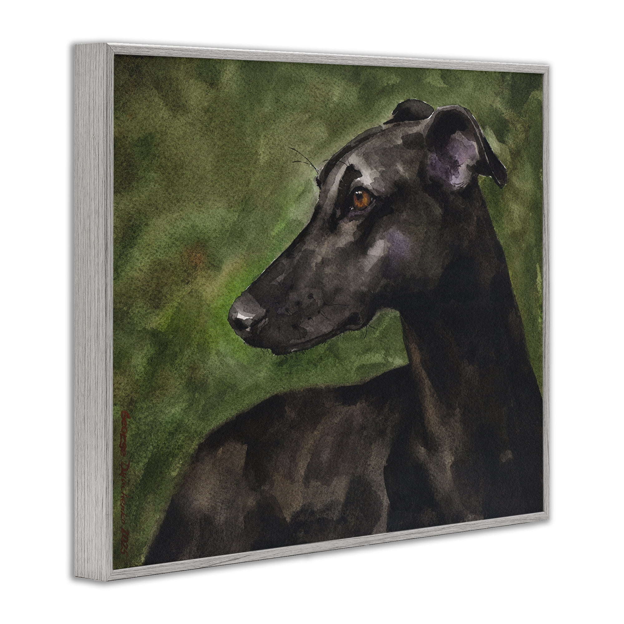 Stupell Industries Black Greyhound Portrait Gray Framed Giclee Art, design by George Dyachenko