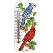 ORGILL Taylor Bird Design Tube Thermometer Plastic Multicolored 8 in.