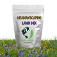 thumbnail image 2 of Earthwise Meadowscaping Alternative Lawn Seed Mix, 5 lb Native Blend for Low-Maintenance Lawns, Covers 10000 Sq ft, 2 of 9