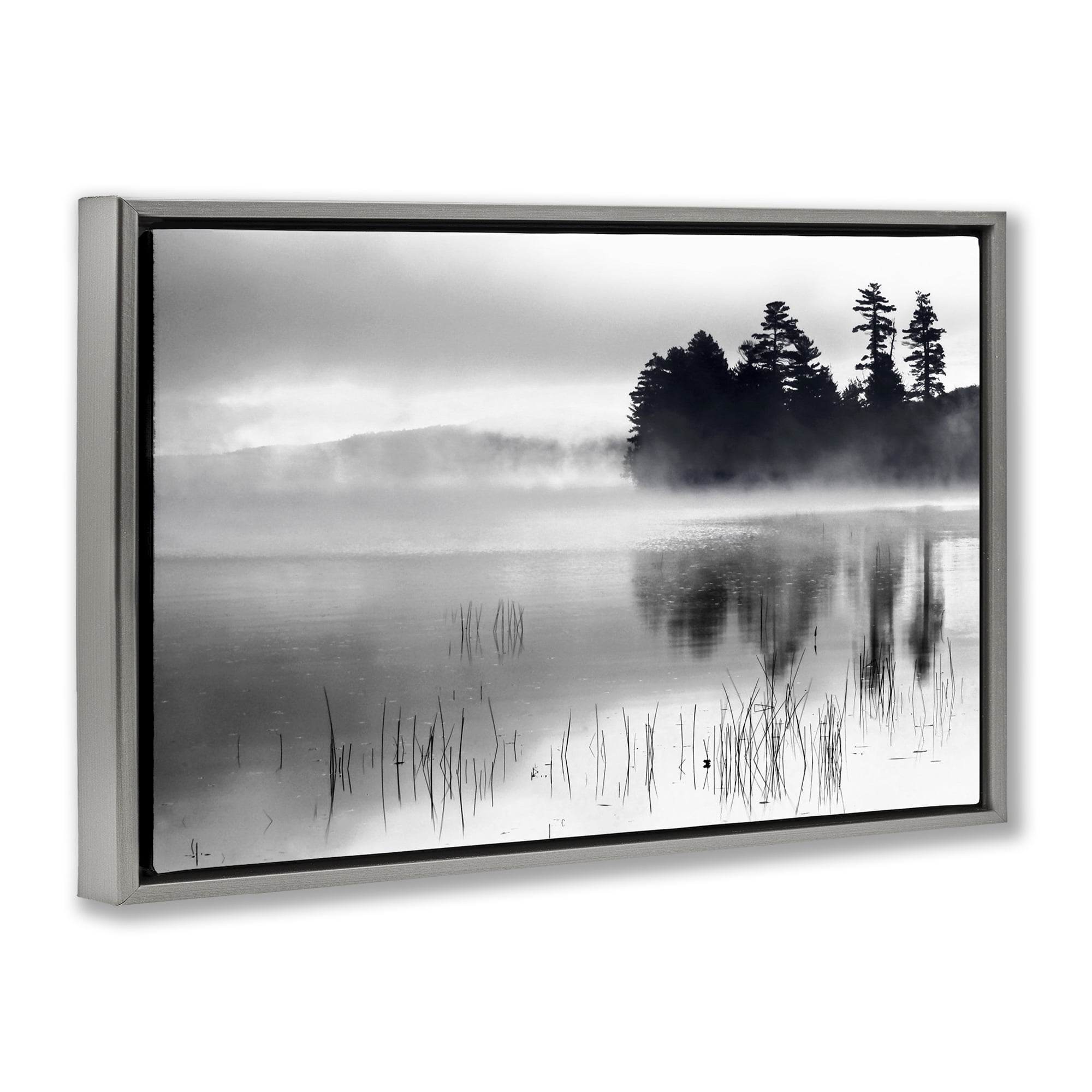 Stupell Industries Serene Lake Reflection Landscape Photography Gray Floater Framed Art Print Wall Art, 31 x 21