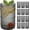 Gray, variant on UYWZQ-Moretoes Hobnail Drinking Glasses Set of 12,12 Oz Clear Highball Glasses Cups Vintage Kitchen Bar Tumbler Glassware Set for Whiskey, Beer, Juice, Milk and Various Mixed Drinks