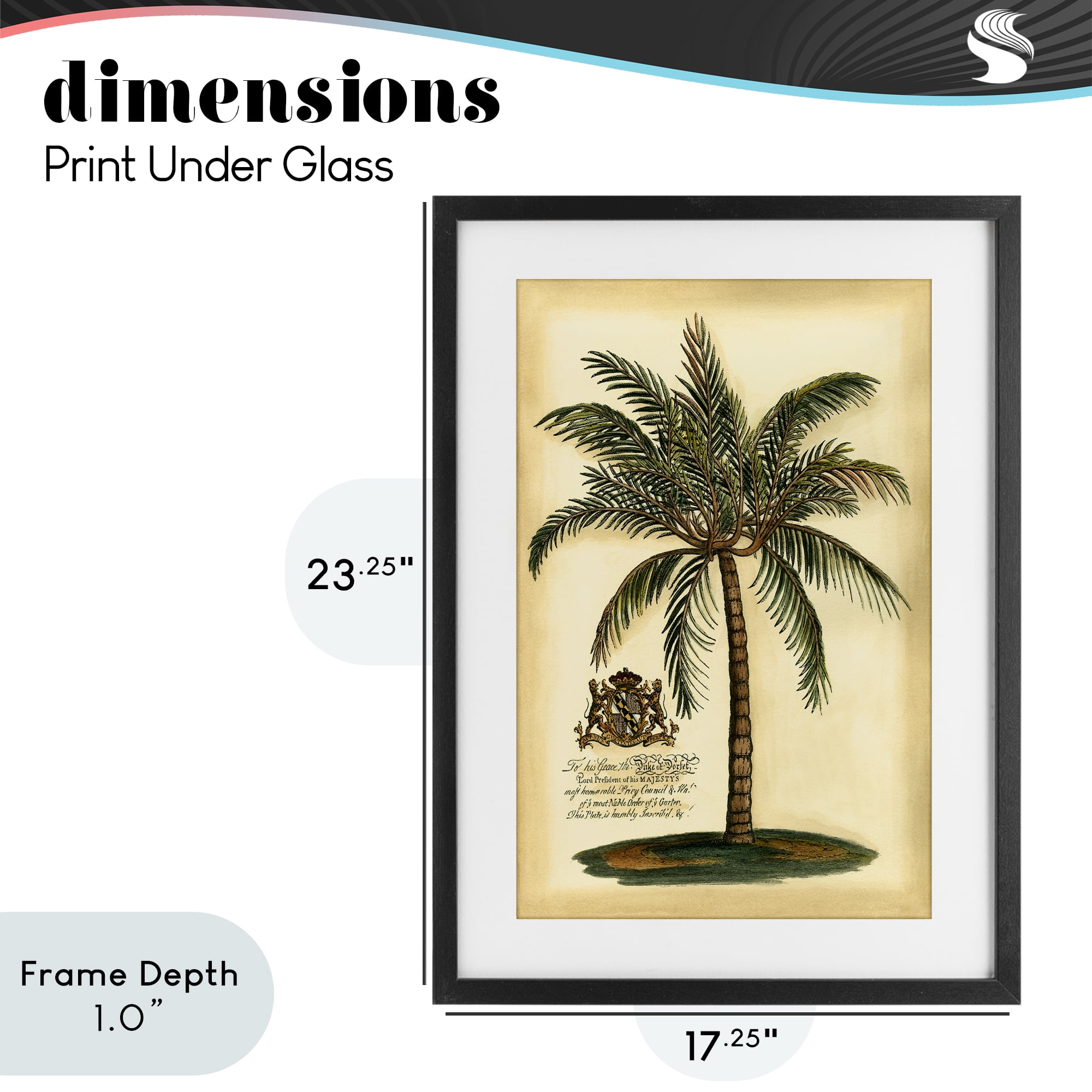 Stupell Industries British Colonial Palm Black Framed Print Under Glass, design by Vision Studio