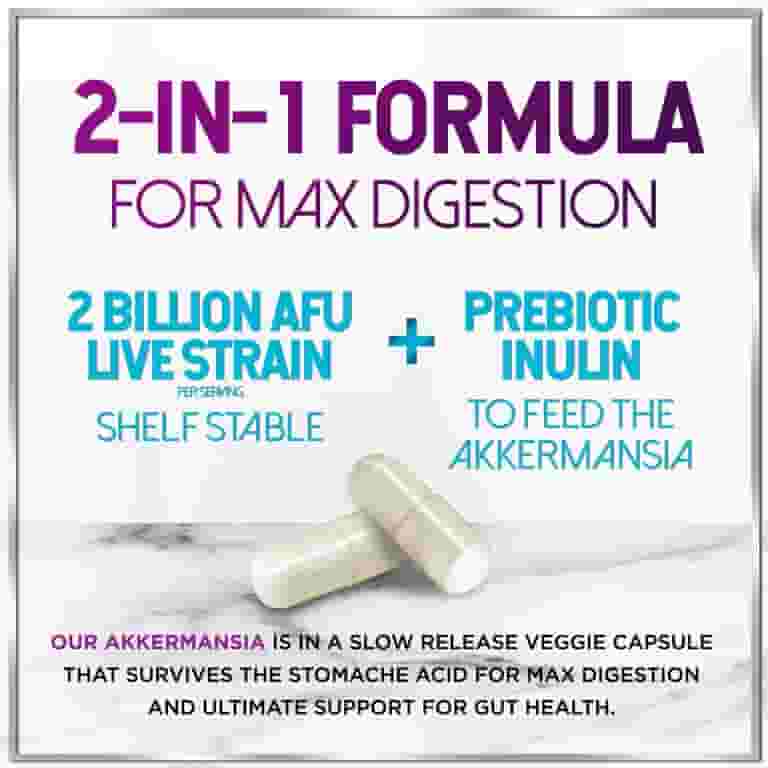 Akkermansia Probiotic 2 Billion AFU Best Strain for Glp 1 Production Support with Prebiotic Fiber for Natural Digest Akkermansia Probiotic 2 Billion AFU Best Strain for Glp 1 Production Support with Prebiotic Fiber for Natural Digest