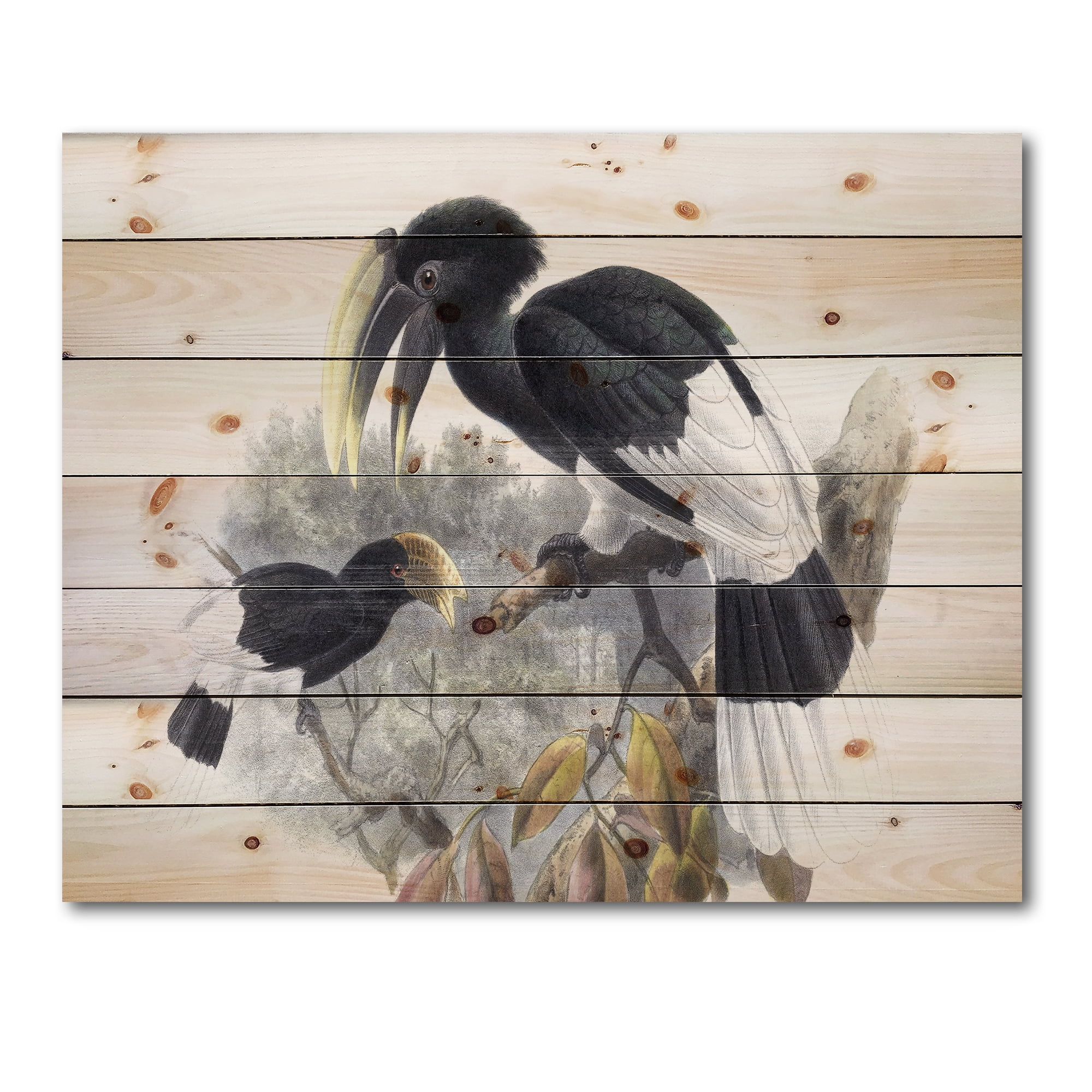 Designart 'Ancient Bird Illustration I' Traditional Print on Natural Pine Wood