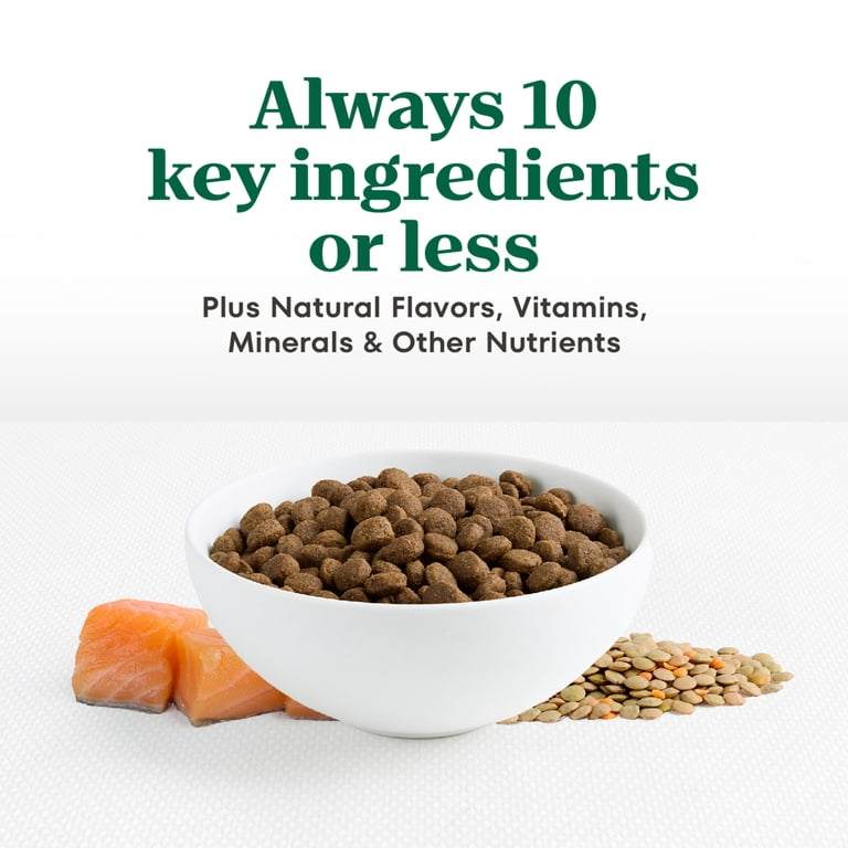 Nutro Limited Ingredient Diet Dry Dog Food, Salmon Lentils