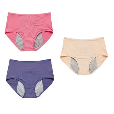 3 Pcs Sanitary Pants Women's Panties Ladies Underwear Anti-leak Practical Period Briefs Miss