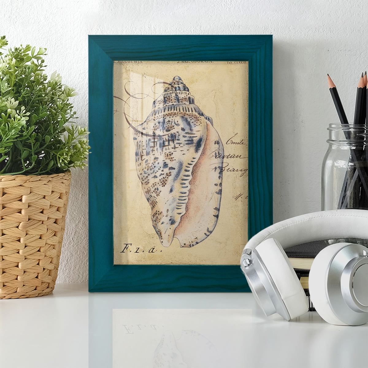 Seashell Ephemera I - Framed Print w/glass - Ocean Blue