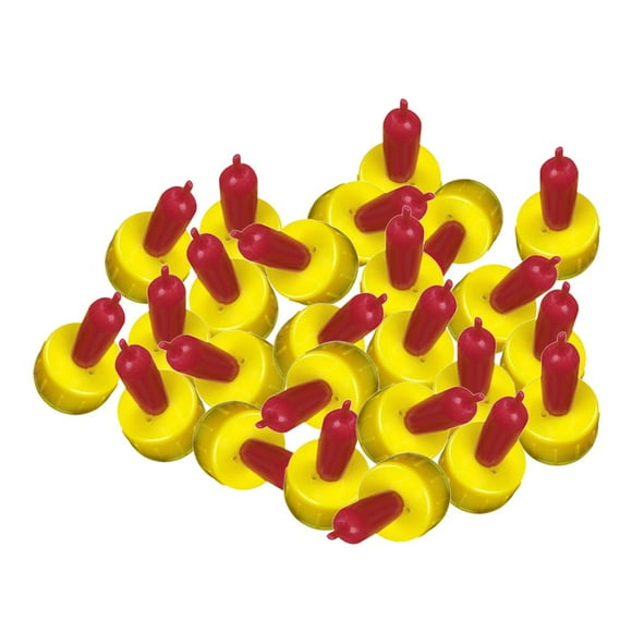 Alimentador Con Pezón Para Pezones, Pezón, Para Bebé, 50 Piezas Sunnimix Gato bebe biberón