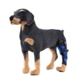 thumbnail image 2 of Dog Rear Hock Joint Brace Compression Wrap with Straps Dog for Back Leg Protects Wounds. Heals Prevents Injuries and Sprains Helps with Loss of Stability Caused by Arthritis, 2 of 9