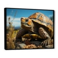 thumbnail image 2 of Designart "Symbolic Expressions" Animals Turtle Floater Framed Wall Decor, 2 of 5