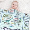 thumbnail image 6 of Dinosaur Custom Name Blanket Customized Text Gifts Plush Soft Fuzzy Lightweight Personalized Flannel Throw Blankets 30"x40" for Baby/Pets Birthday Home Couch Sofa Bedroom, 6 of 6