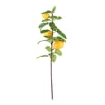 thumbnail image 2 of Rama de Limón Simulada Plantas de Casa Artificiales Decoración de Boda Rama de Limón DIY Ramitas de Limón de Imitación ANGGREK Otros, 2 of 8