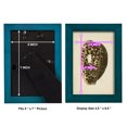 thumbnail image 4 of Sealife Collection III - Framed Print w/glass - Ocean Blue, 4 of 8