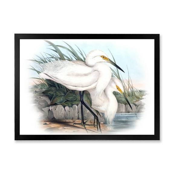 Designart 'Ancient Bird Life I' Traditional Framed Art Print