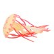 thumbnail image 4 of Juguete de Medusas Ecomeon Adorno de Medusas Juguete Educativo de Animales Marinos, 4 of 4