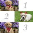 thumbnail image 4 of 2PCS Pet Bandana Santa Pattern Dog Bandana Cat Bandana for Christmas, 4 of 10