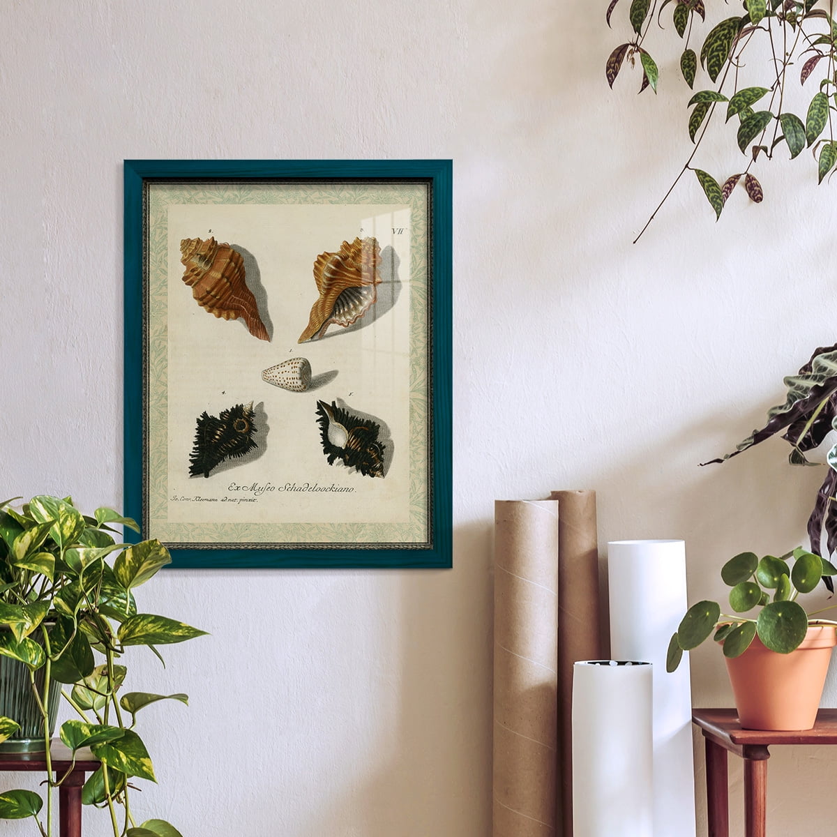 Bookplate Shells I - Framed Print w/glass - Ocean Blue
