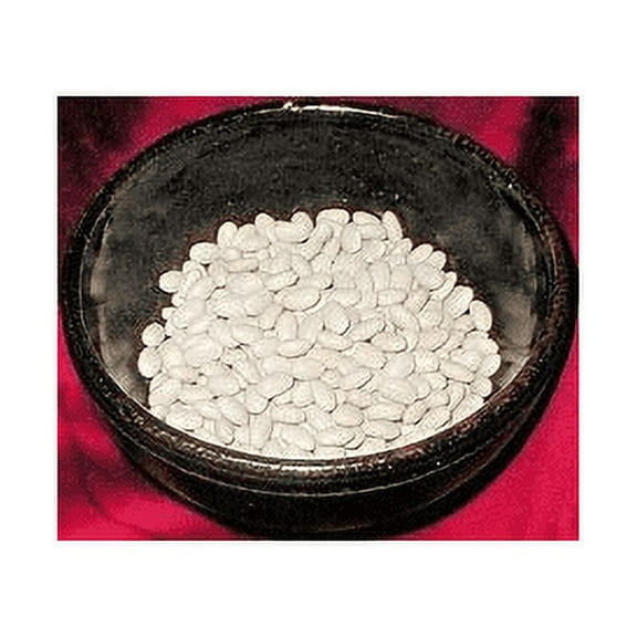 Bean Navy Great Heirloom Garden Vegetable by Seed Kingdom Bulk 5 Lb Seeds