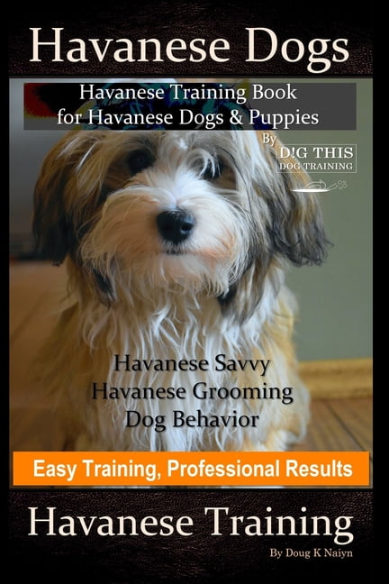 havanese puppy shopping list
