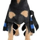 thumbnail image 4 of Tobillera de pierna delantera para perro, corvejón con correa de seguridad para lesiones, esguince Gloria  Soporte de la rodilla del perro, 4 of 8