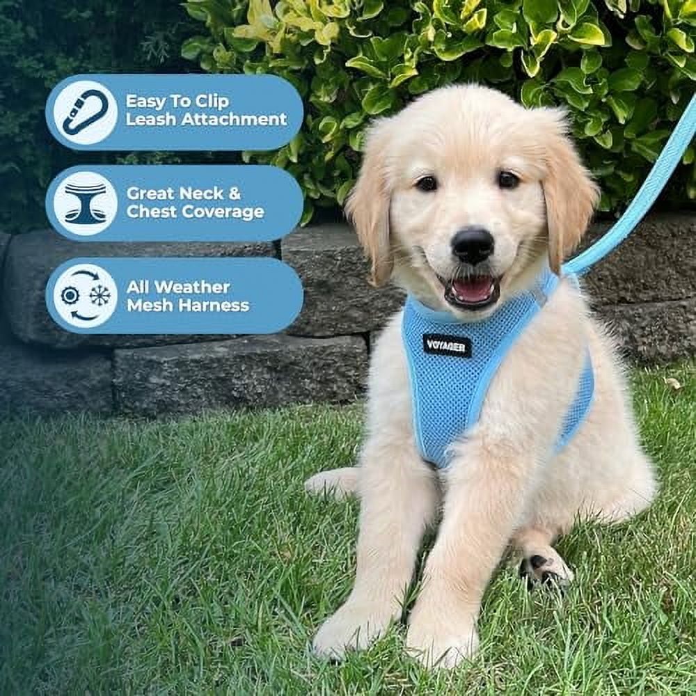 Voyager Step-In Air Harness, Baby Blue, Small photo 6