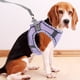 thumbnail image 5 of 1 juego de arnés para mascotas, correa para perros, arnés para mascotas pequeñas, juego de arnés decorativo para mascotas (S), 5 of 6