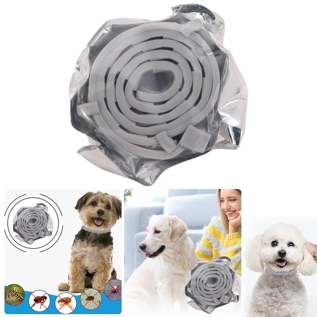 Collar Repelente para Collar Antimosquitos Y Pulgas Correa para Y Gatos Collar Contra Pulgas Y Garrapatas (perro Pequeño en 38 Cm) Perro Perro Pequeño/bolsa