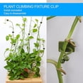 thumbnail image 3 of 100 clips de soporte para plantas trepadoras, clips autoadhesivos para plantas, clip de fijación de pared de vid verde, fijador de pared, clip de gancho de soporte para plantas, clip de estaca, decora, 3 of 5