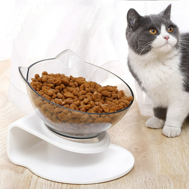 Cat Food Bowl Y YHY Color: White, Overall Height: Medium (5.1)