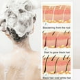 thumbnail image 3 of Fiudx Champú para Canas, Jabón Revitalizante Natural, Barra de Aceite Nutritivo Suave, Mantenimiento Diario, Diseño Ideal para Viajes, Apto para Hombres y Mujeres, Fácil de Llevar En El Equipaje., 3 of 7