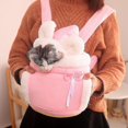 thumbnail image 2 of Bolsa de transporte cálida para mascotas, mochila para perros y gatos pequeños, jaula para mascotas de peluche, para caminar al aire libre, viaje, gatito, bolsa colgante para el pecho, 2 of 4