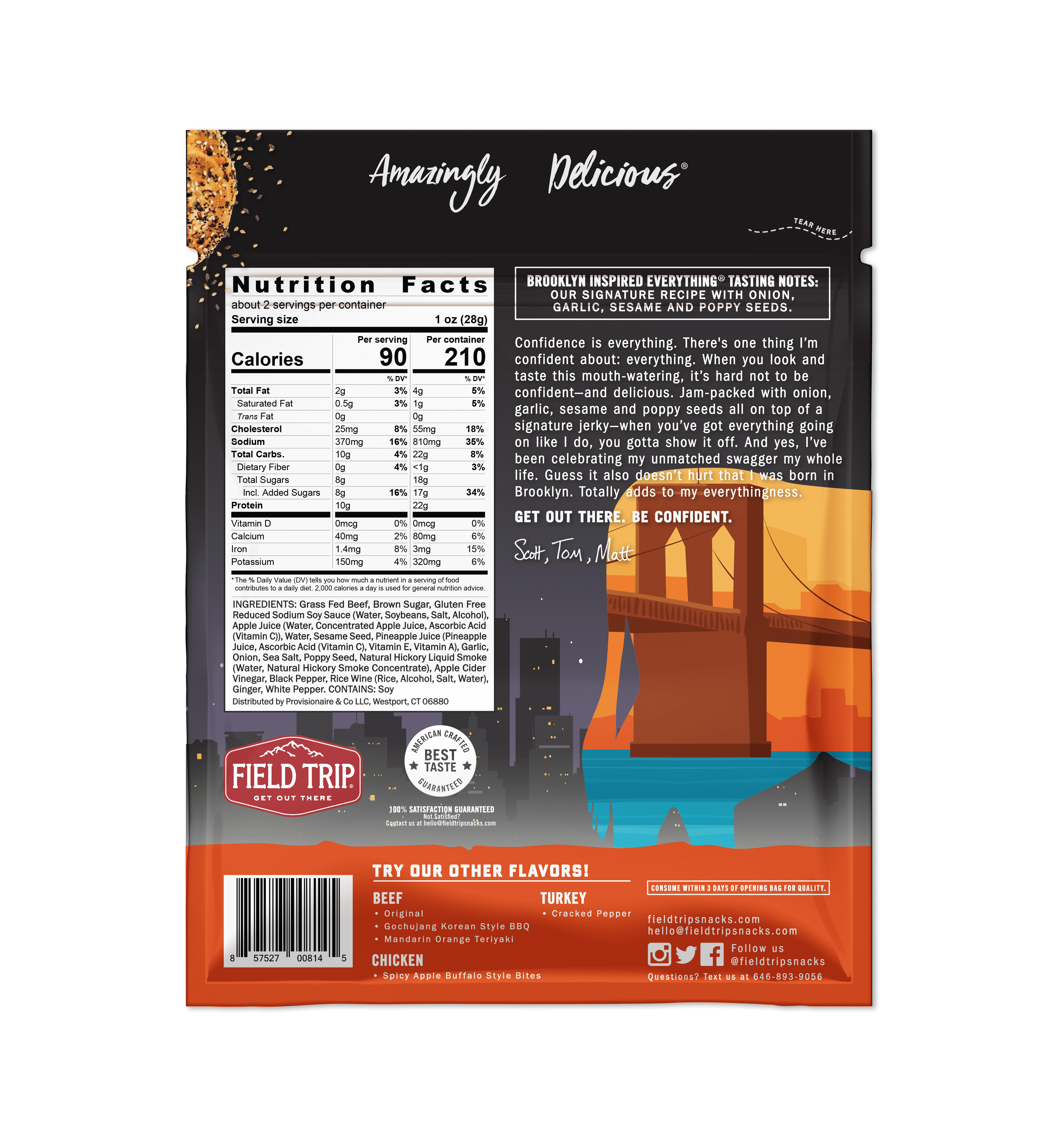Field Trip Beef Jerky BK Everything Bagel Seasoned 2.2 oz 9pk
