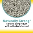 thumbnail image 3 of Purina Tidy Cats Naturally Strong Clumping Cat Litter, Unscented, 20 lb Jug, 3 of 10