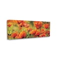 thumbnail image 3 of Stupell Wild Poppy Flowers Spring Blooms Botanical & Floral Painting Gallery Wrapped Canvas Print Wall Art, 3 of 7