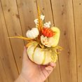 thumbnail image 5 of Blukids Mini Artificial Pumpkin for Spring Decoration,Faux Fall Flowers,Artificial Flowers for Home Halloween Thanksgiving Table Centepieces, Fall Outdoor Indoor Decorations(white), 5 of 6