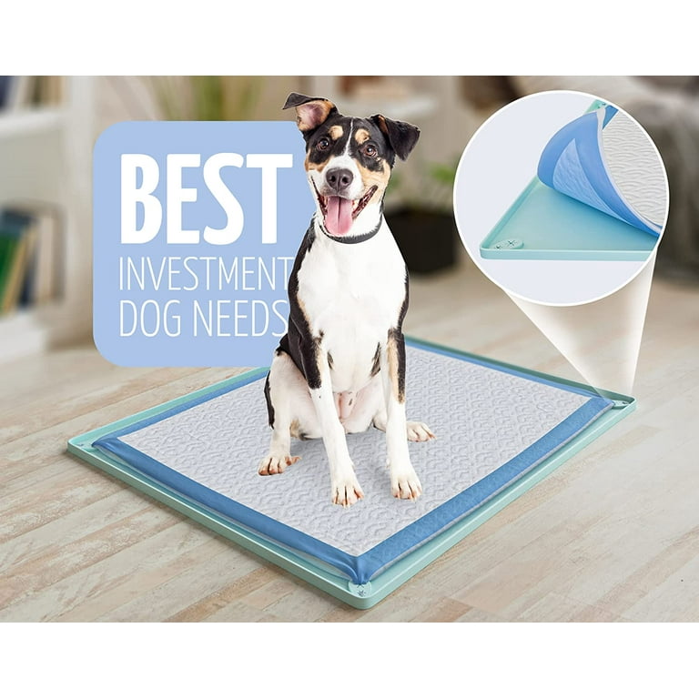 Skywin Dog Pad Holder Tray 28x34 in ( 1 Pack ) No Spill Pee Pad Holder for Dogs - Works with Most Training Pads - Easy to Clean and Store - Perfect